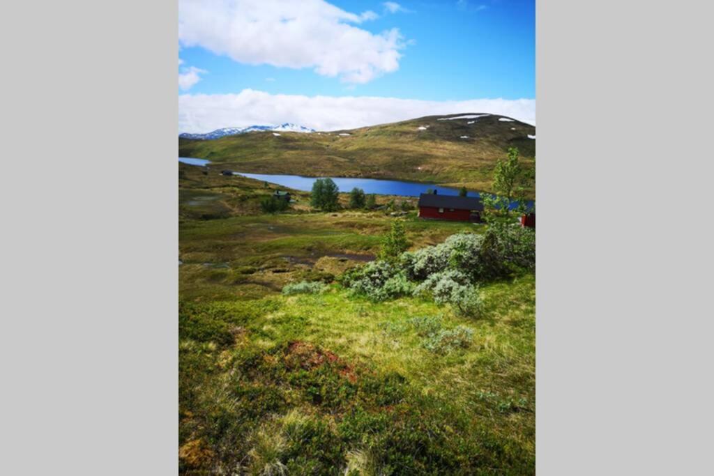 Casa Kleiv I Sogndalsdalen Villa Exterior photo